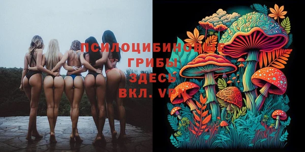 таблы Алексин