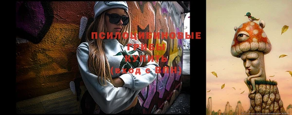 эйфоретик Алзамай