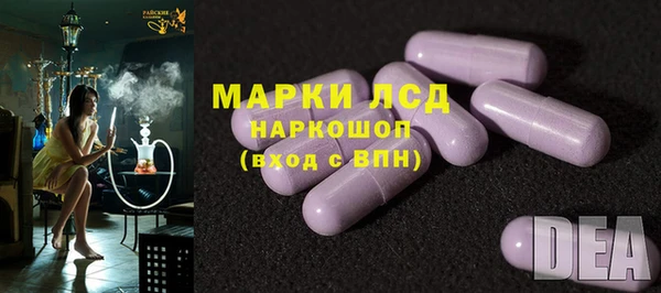 эйфоретик Алзамай